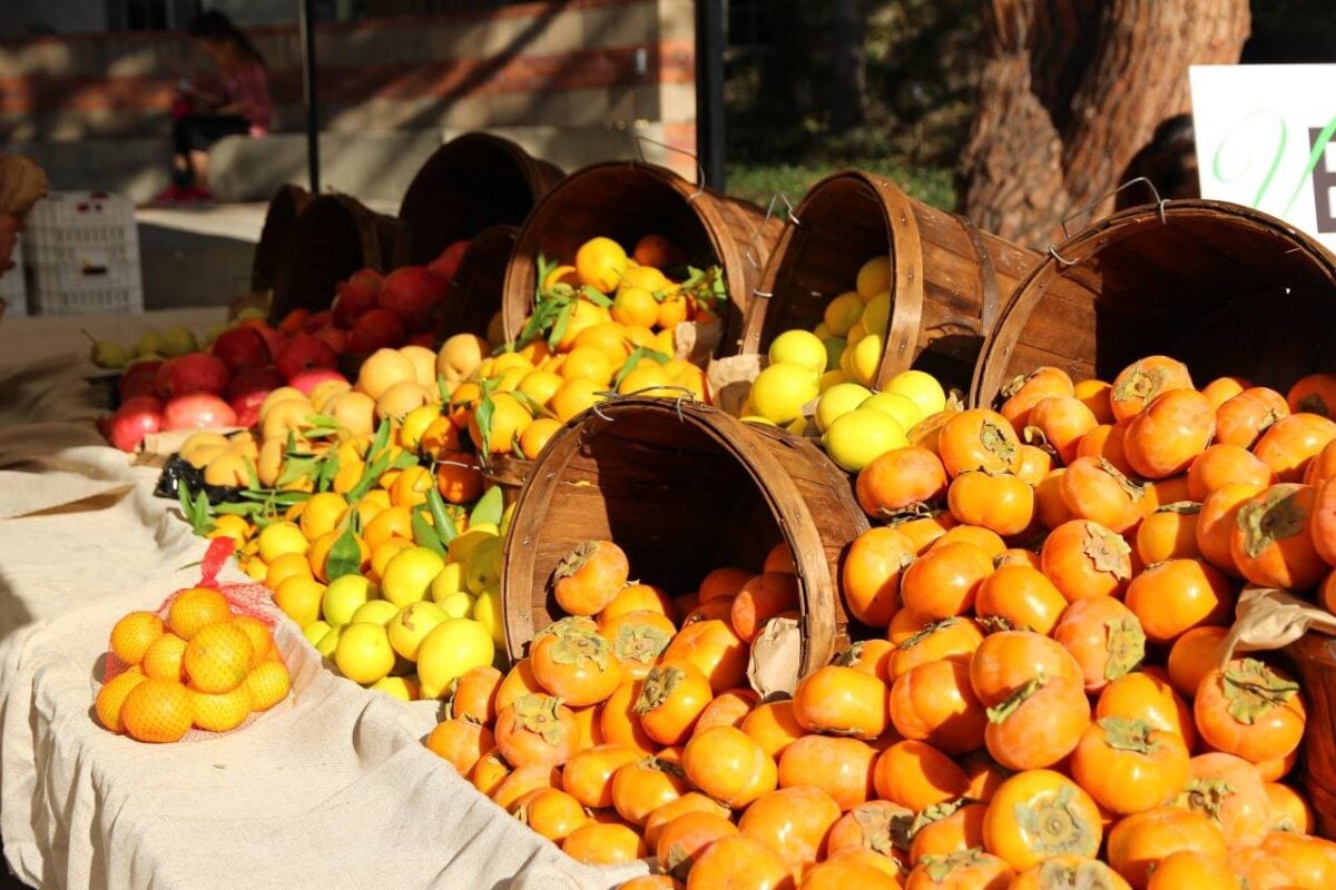 Fruit stand at farmer's market