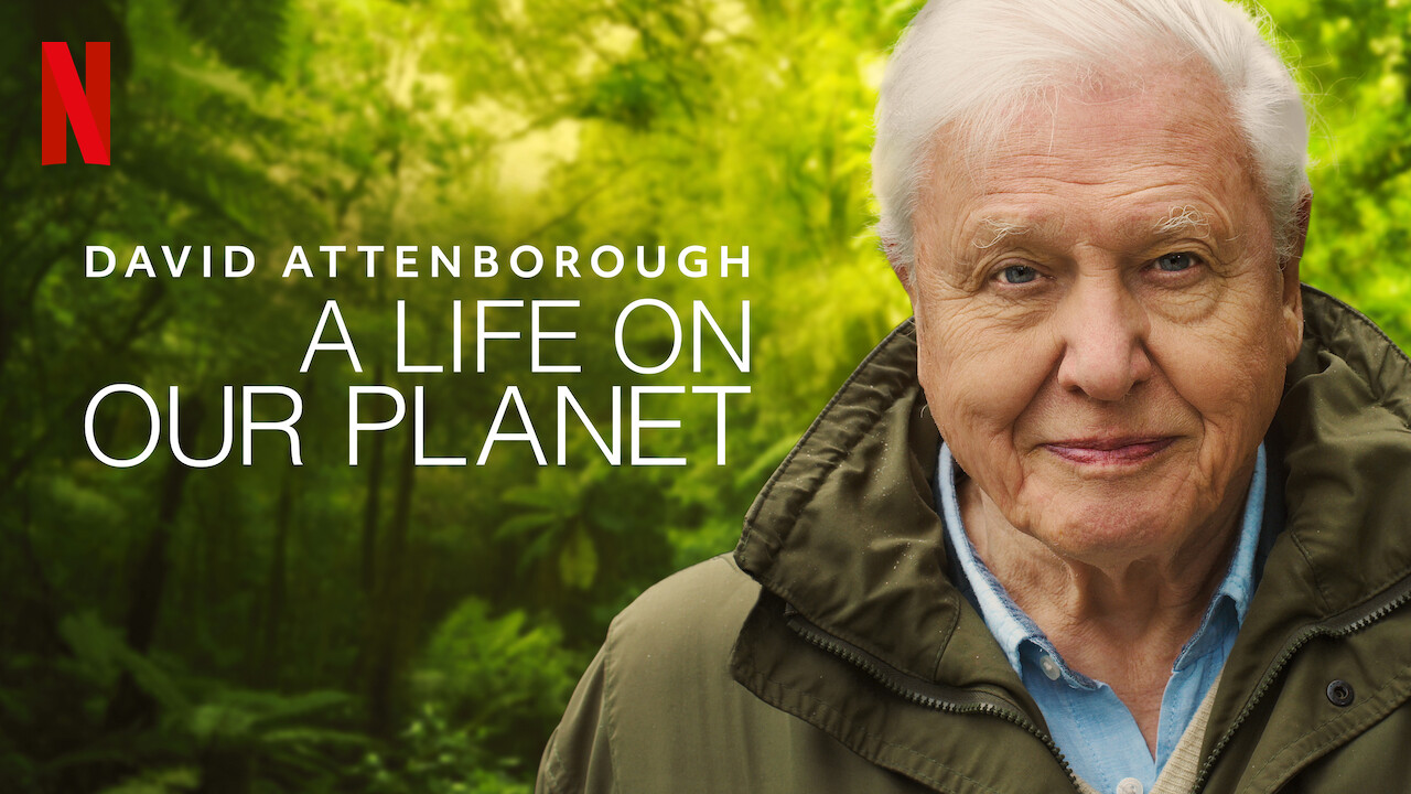 Image of David Attenborough'S a Life On Our Planet