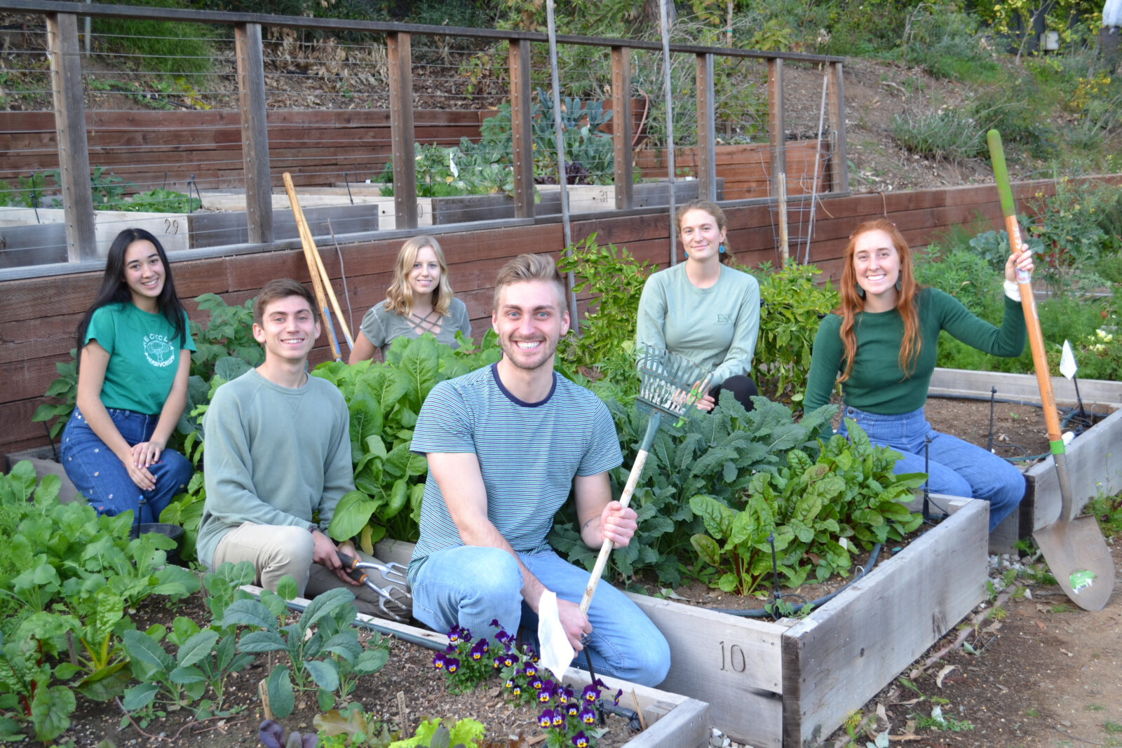 Community Garden Sustainability Plan 