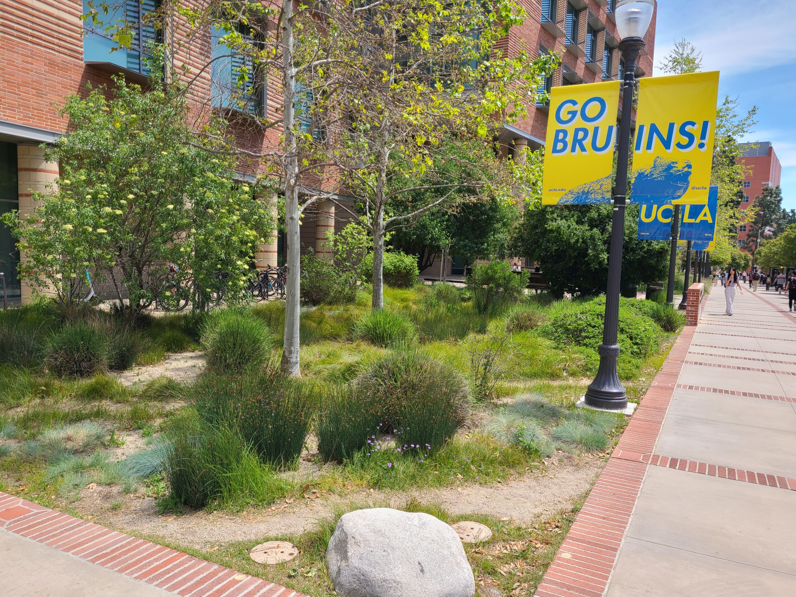 Ucla Impacted Courses - tri573v