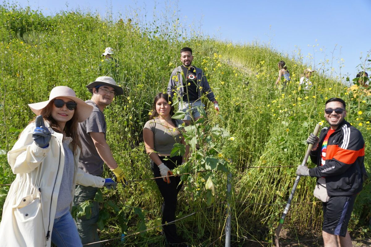Baldwin Hills Parklands Community Habitat Restoration